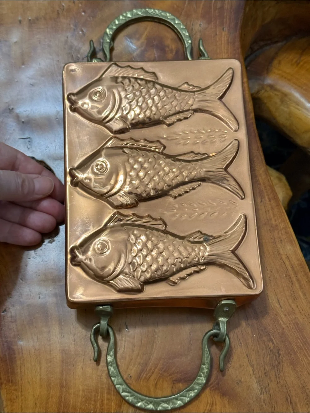 Vintage Copper Plated Fish Mold. Koi Fish. Brass and Iron Handles. Kitchen decor